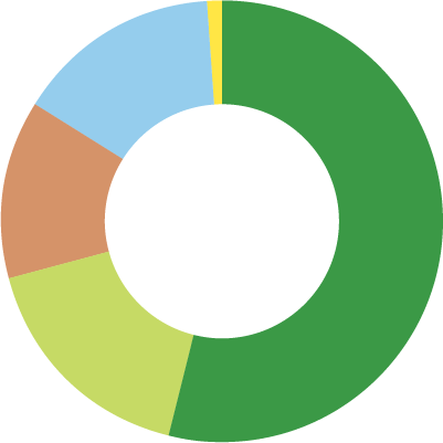 Demographics Pie Chart